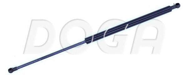 DOGA 2020213