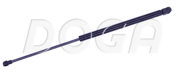 DOGA 2023813