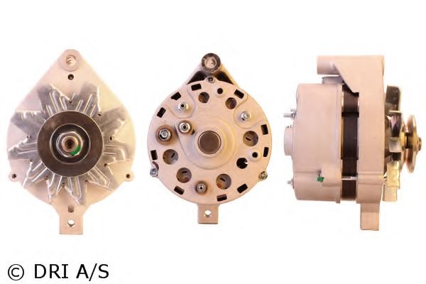 DRI 519025402 DRI 519025402