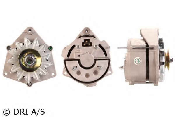 DRI 225066352
