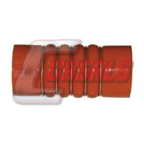CASALS 33236