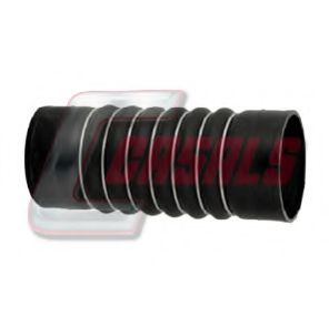 CASALS 33239 CASALS 33239