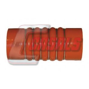 CASALS 33243