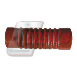CASALS 33261