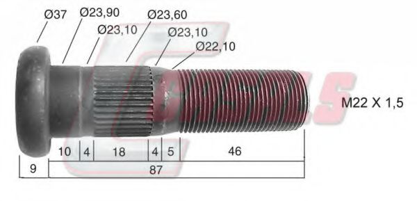 CASALS 21100