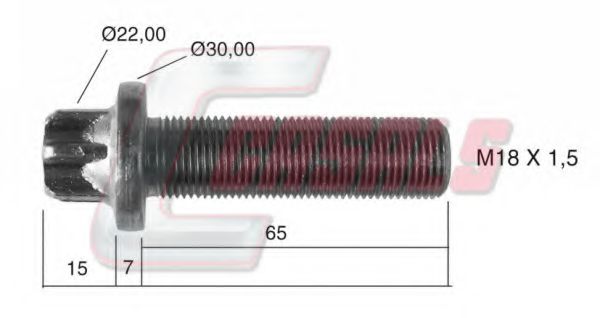 CASALS 21506