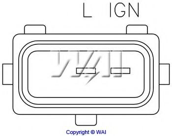 WAIglobal IB251