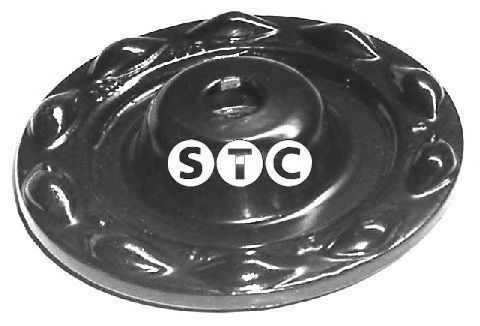 STC T404313