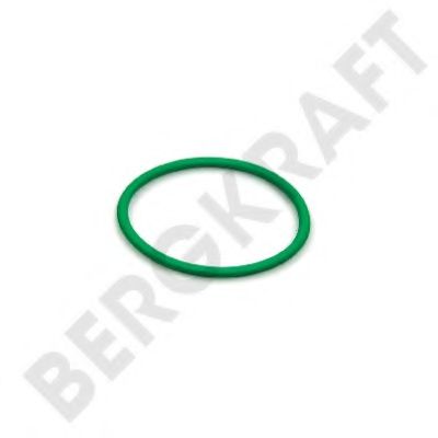 BERGKRAFT BK8007923