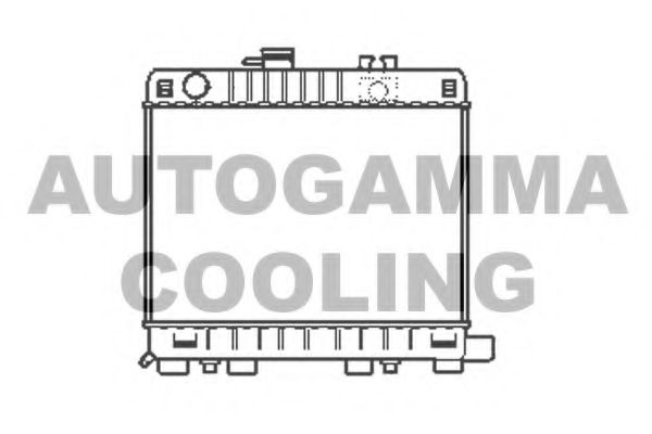 AUTOGAMMA 100114