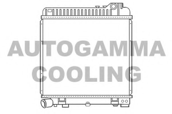 AUTOGAMMA 100117
