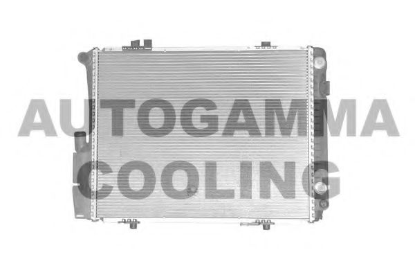 AUTOGAMMA 100520