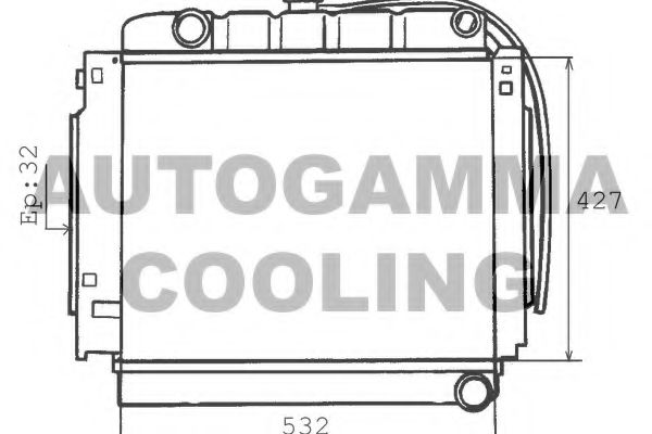AUTOGAMMA 100528