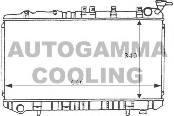 AUTOGAMMA 100630