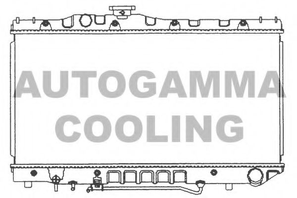 AUTOGAMMA 101006