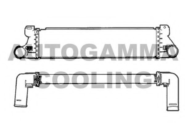 AUTOGAMMA 101504
