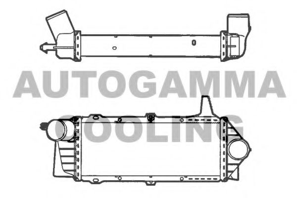 AUTOGAMMA 101505