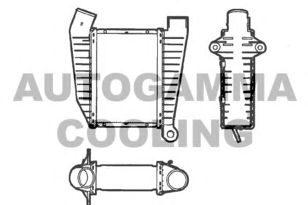 AUTOGAMMA 101510