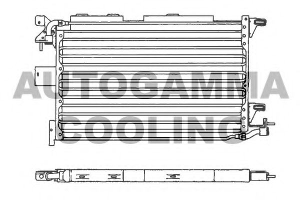 AUTOGAMMA 101586