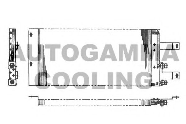AUTOGAMMA 101824