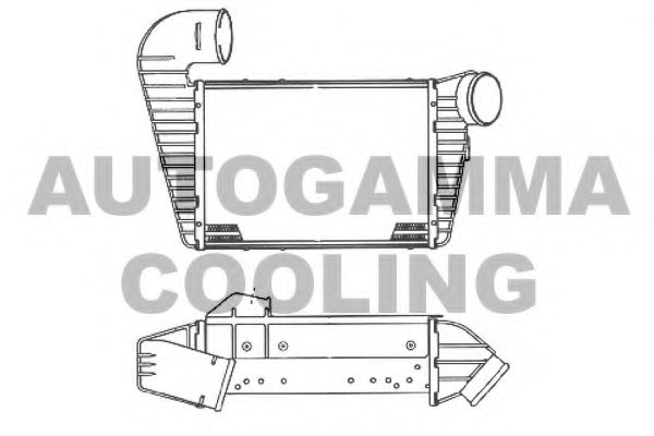 AUTOGAMMA 101963