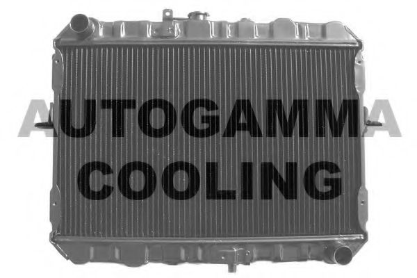 AUTOGAMMA 101999