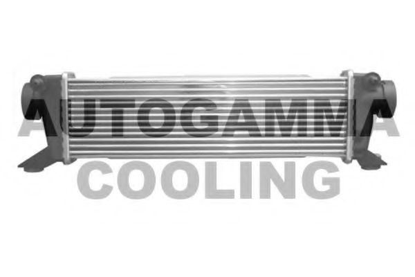 AUTOGAMMA 102412