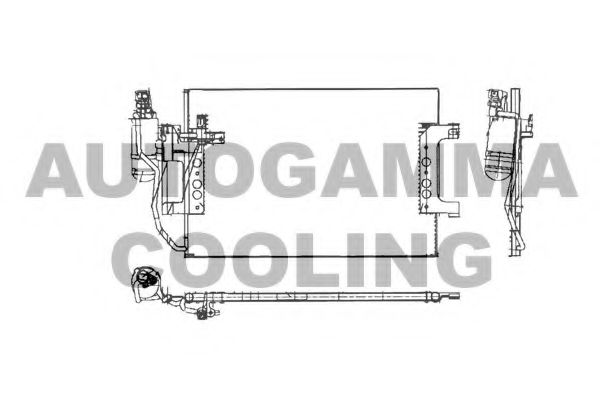 AUTOGAMMA 103175