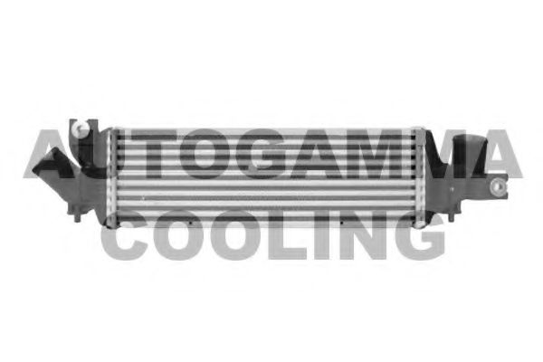 AUTOGAMMA 103708
