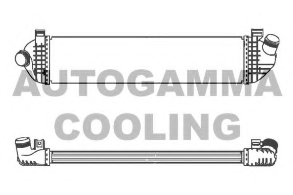 AUTOGAMMA 103720