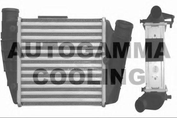 AUTOGAMMA 103771