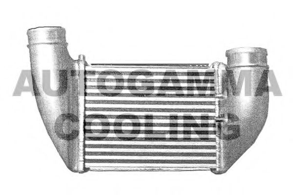 AUTOGAMMA 103885