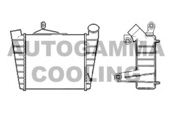 AUTOGAMMA 105191