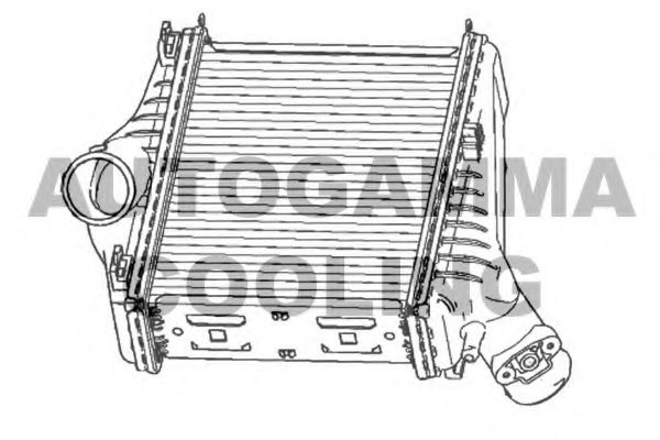 AUTOGAMMA 105241