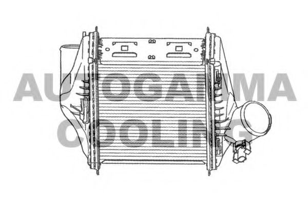 AUTOGAMMA 105242