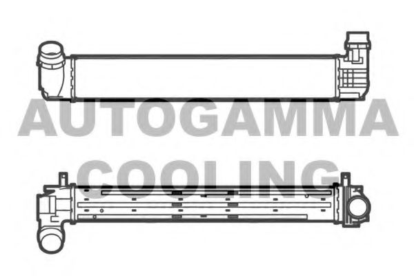 AUTOGAMMA 105292