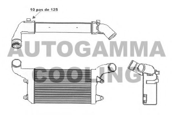 AUTOGAMMA 105299