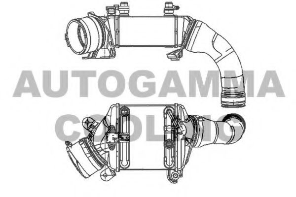 AUTOGAMMA 105334