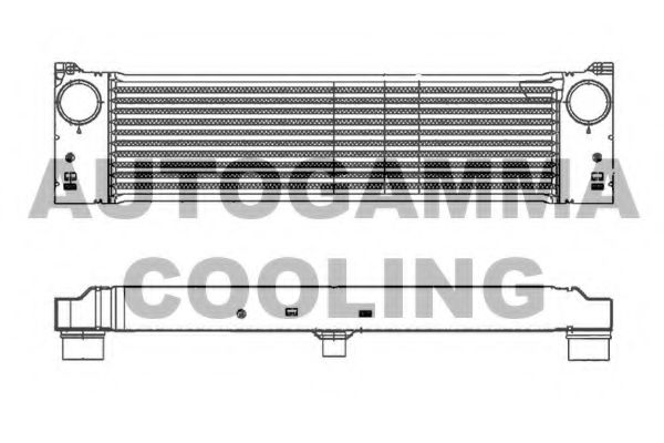 AUTOGAMMA 105466