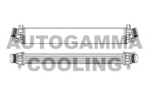 AUTOGAMMA 105639