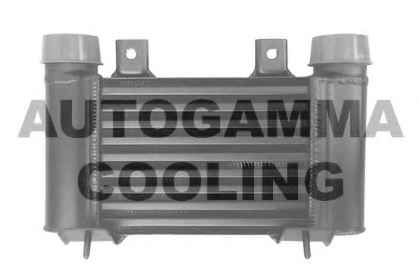 AUTOGAMMA 105823