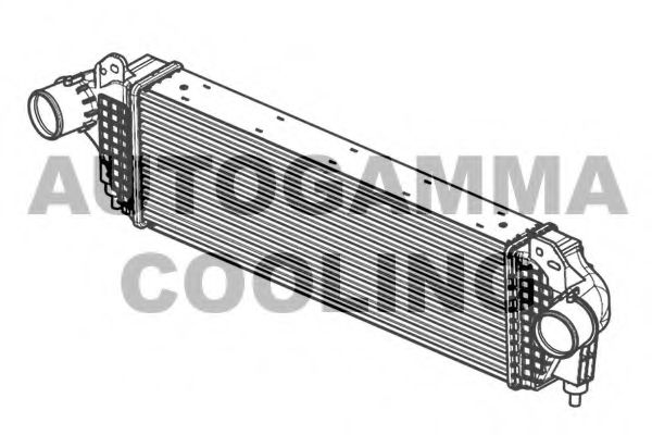 AUTOGAMMA 105950