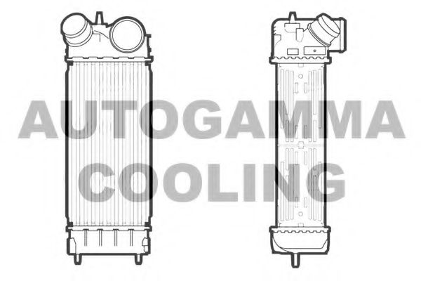 AUTOGAMMA 107116