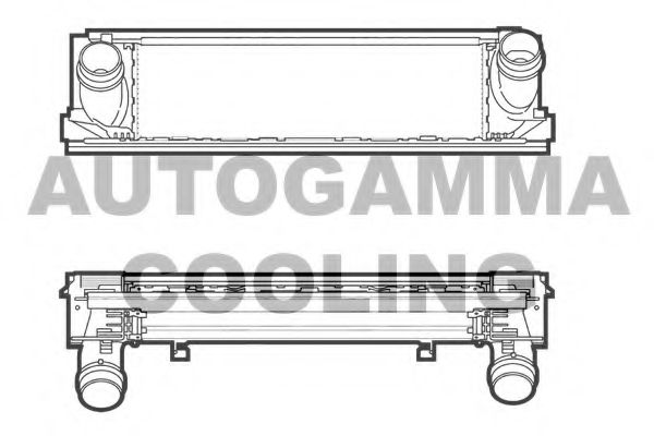 AUTOGAMMA 107298