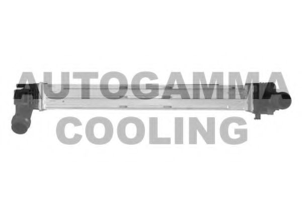 AUTOGAMMA 107308