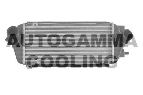 AUTOGAMMA 107320