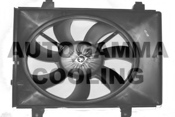 AUTOGAMMA GA228018