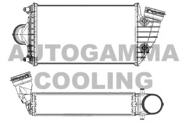AUTOGAMMA 107509