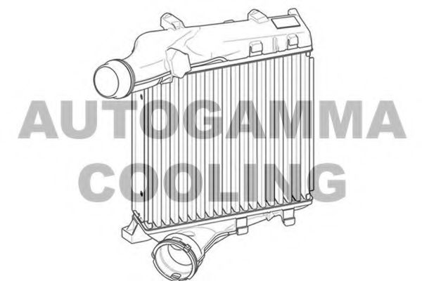 AUTOGAMMA 107555