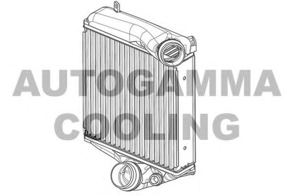 AUTOGAMMA 107556